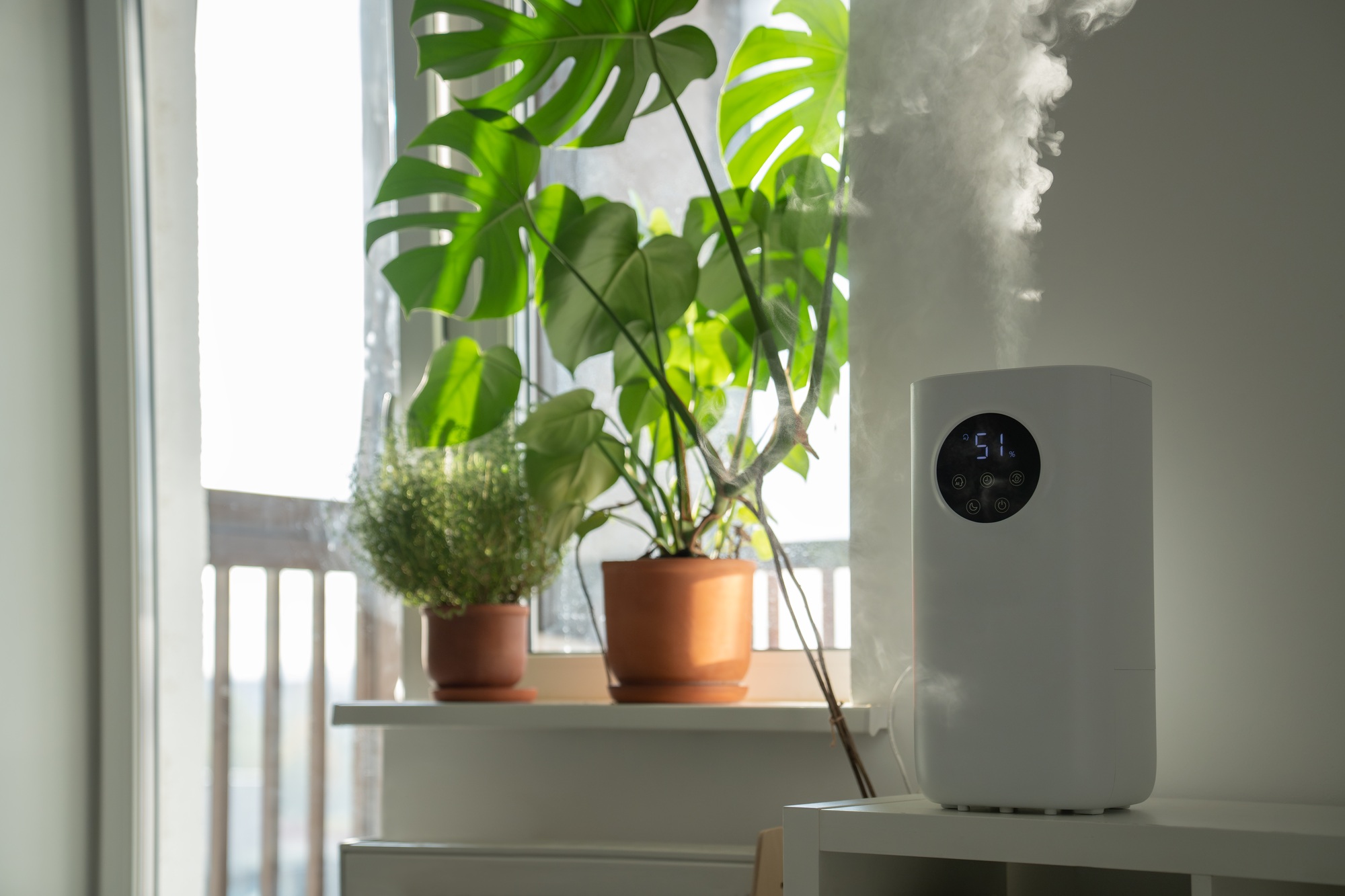 Modern humidifier at home, moistens dry air surrounded by indoor plant. Apartment with moisturizer.