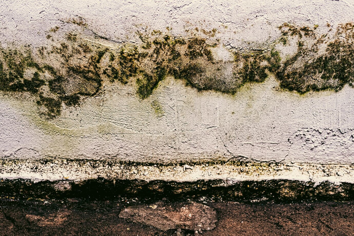Mold growth risks 
